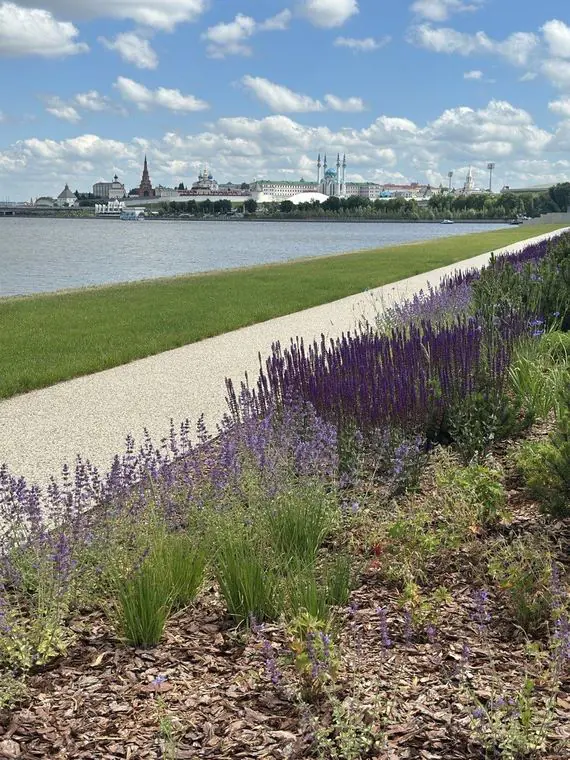 Salvia and catmint border along a path, with the Kazanka and the Kazan Kremlin beyond the lawn