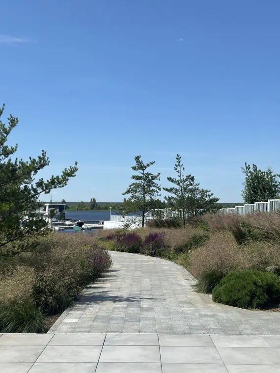 Path to the marina through grasses and salvias, mountain pines