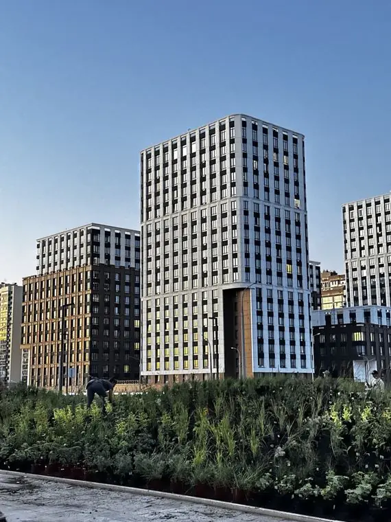Plants set out across the garden, the Panorama towers behind
