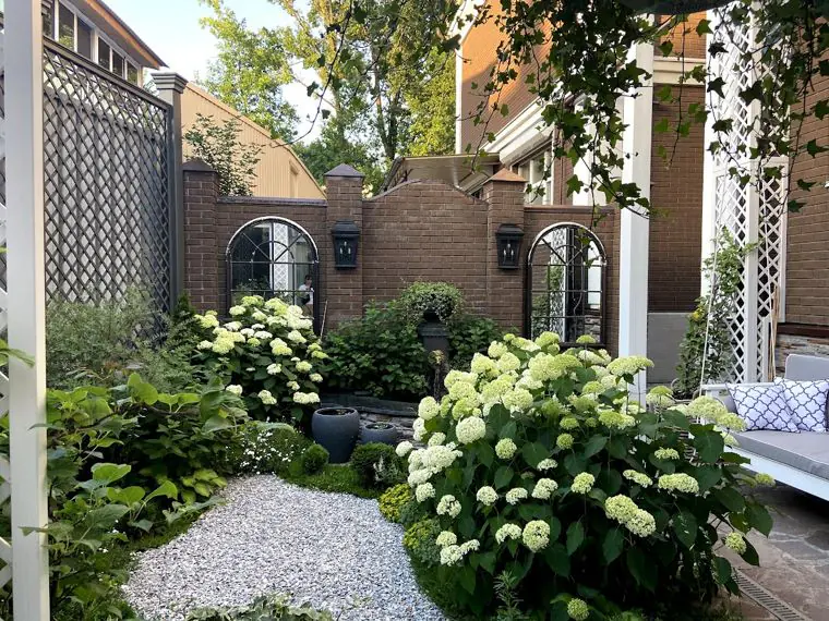 Gravel path between 'Annabelle' hydrangeas, arched mirrors on the brick wall
